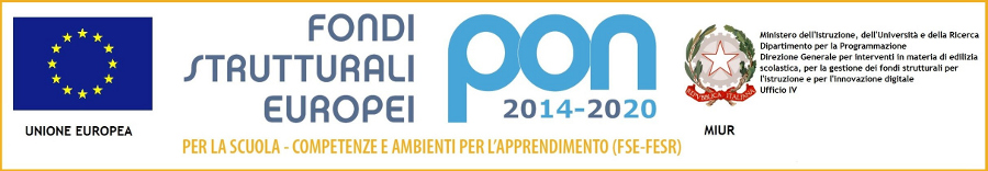 Logo PON 2014 2020